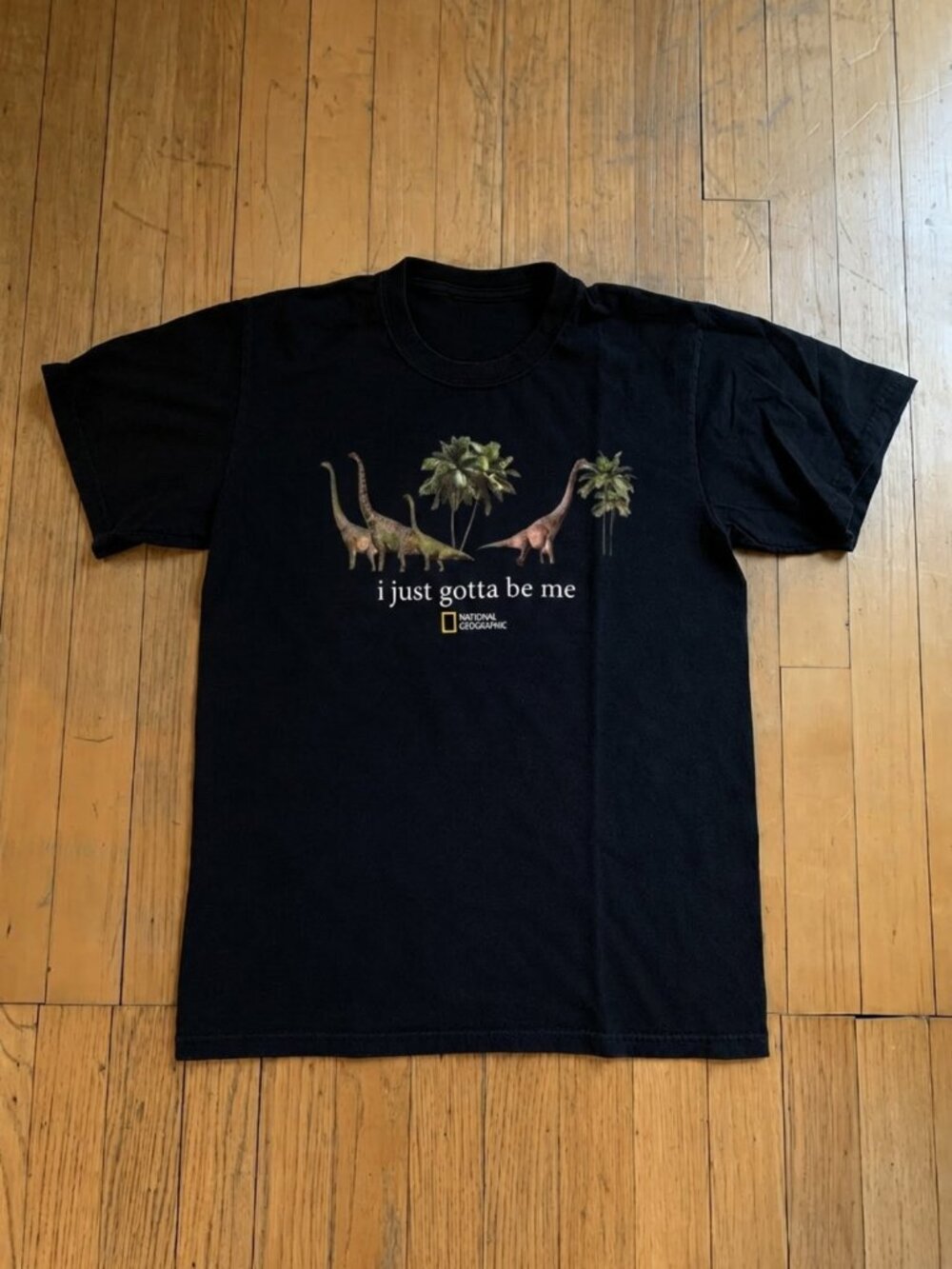 Vintage Dinosaur Graphic T-Shirt Reprint